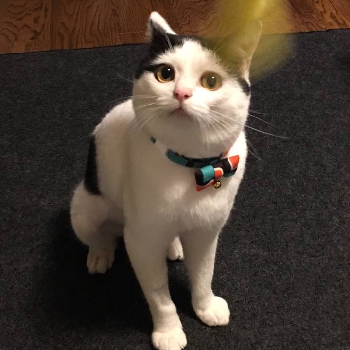 F5605e72 9c6b 446b 8fdf 6b83dc916d63