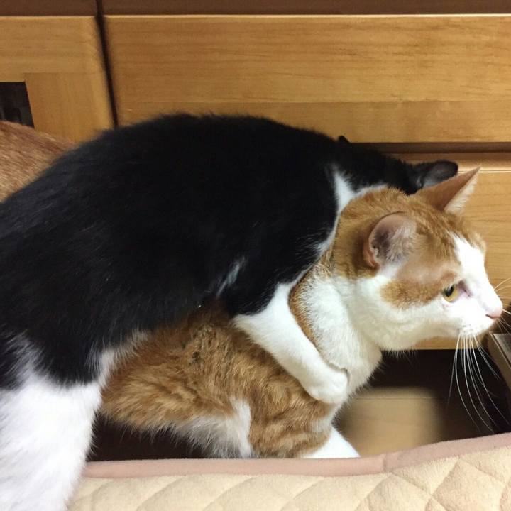 F5609330 ff36 4437 92c9 517bd024067b