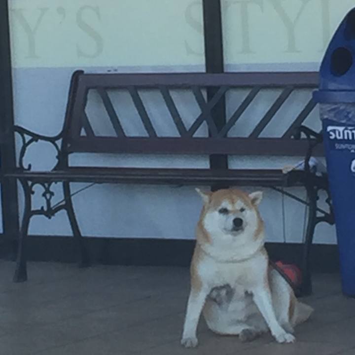 F5609b8e b80b 405c 84ed e01bc9a18998