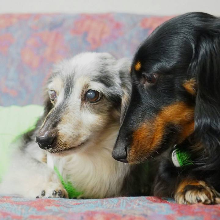 F560b730 b63e 49e7 8ee0 8c1c88052f2f