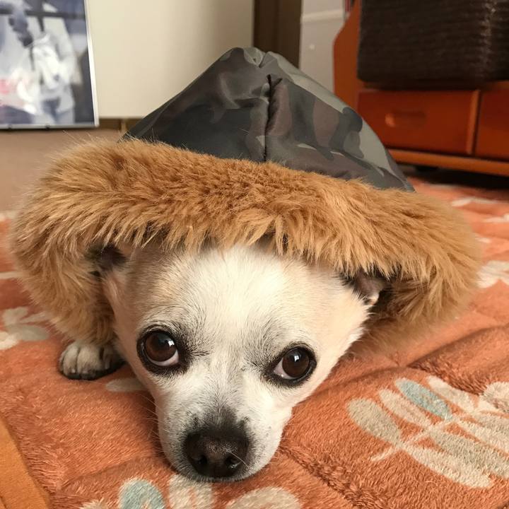 F560cb50 49ee 4278 b4cb 4eae1743c201