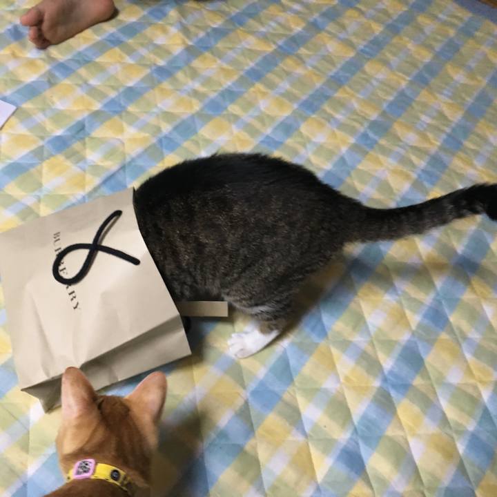 F560e128 6429 464b 950f e7052f942a4c