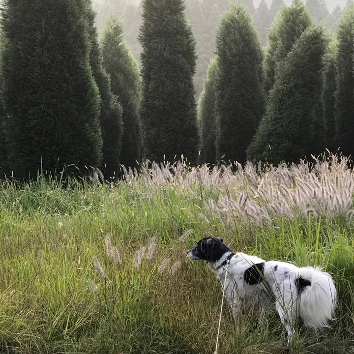 F5610ef3 5720 4da3 ad9e fe106e55112a