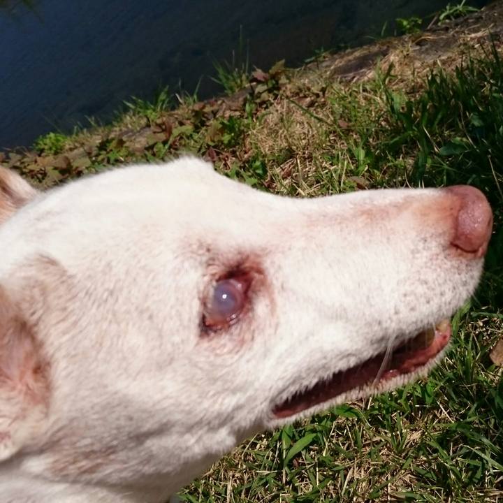 F56130d4 a3d8 4f70 a8ac d43670041ad0