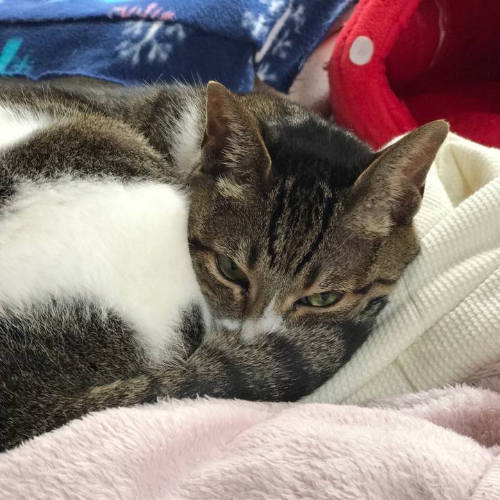 F56195c5 59c2 4f60 86cd dd24525c11e7