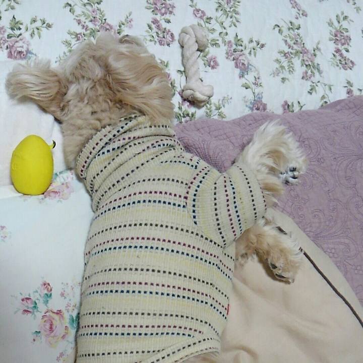 F561a277 803f 4d14 a3b8 5a95129d7384