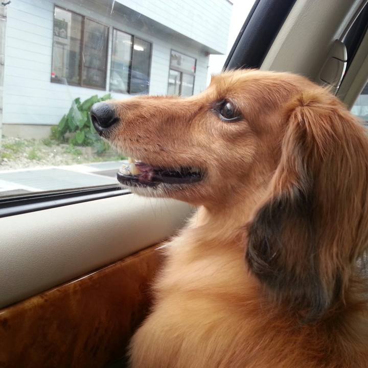 F561dbb8 3108 4b08 a736 0dd1a4856dbb