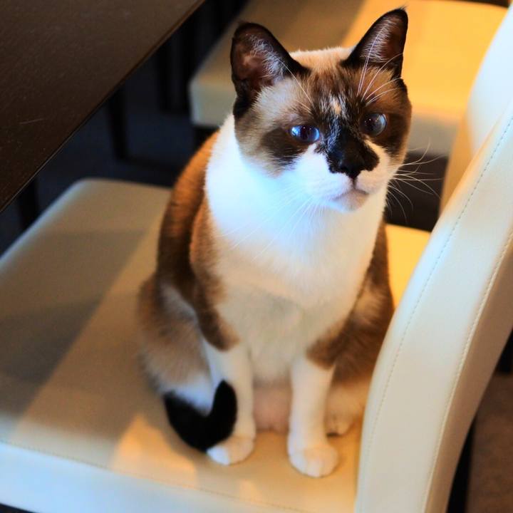 F5620810 b738 4e29 a515 d5fa5f57a3a0