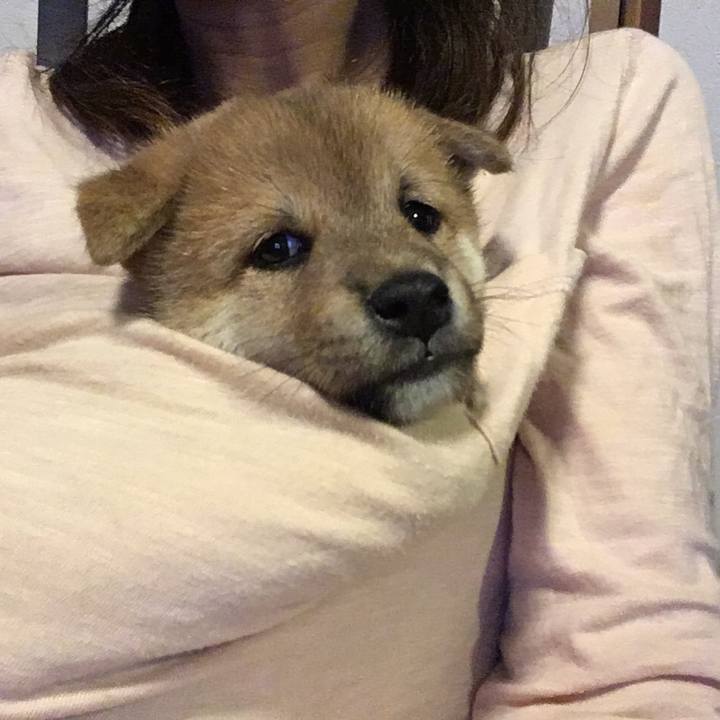 F562bd52 1726 41ea 8ced 67f388894379