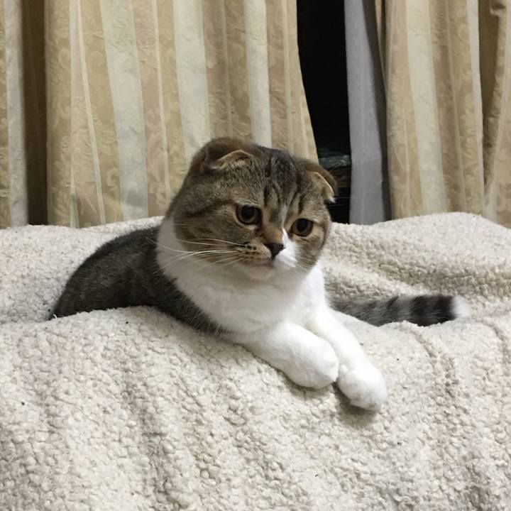 F562e13e f7c0 472a 86ba 9c0b76feee17