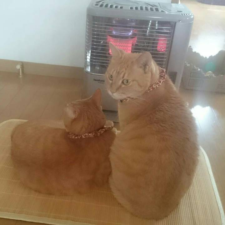 F562ee0c fed7 4fd9 946e 52c8305cef61