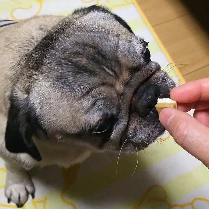 F563590c da30 4875 8d19 d9c73b511310