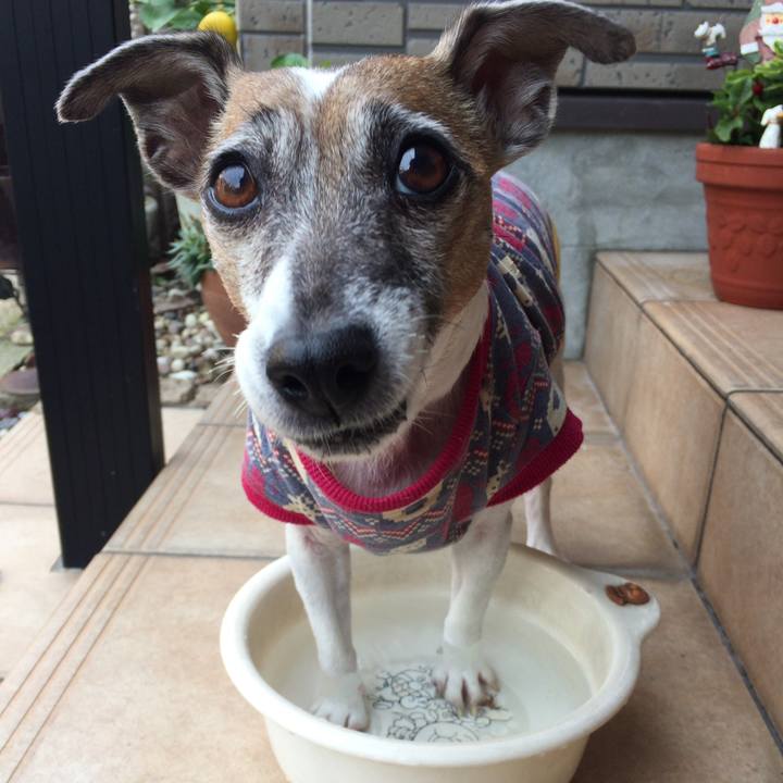 F5639221 31ef 46d7 922b f73d5def78b3