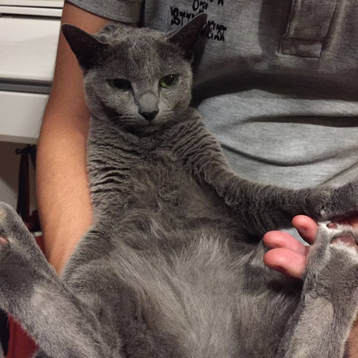 F563954c da9b 466a 9626 0633fbeaad35