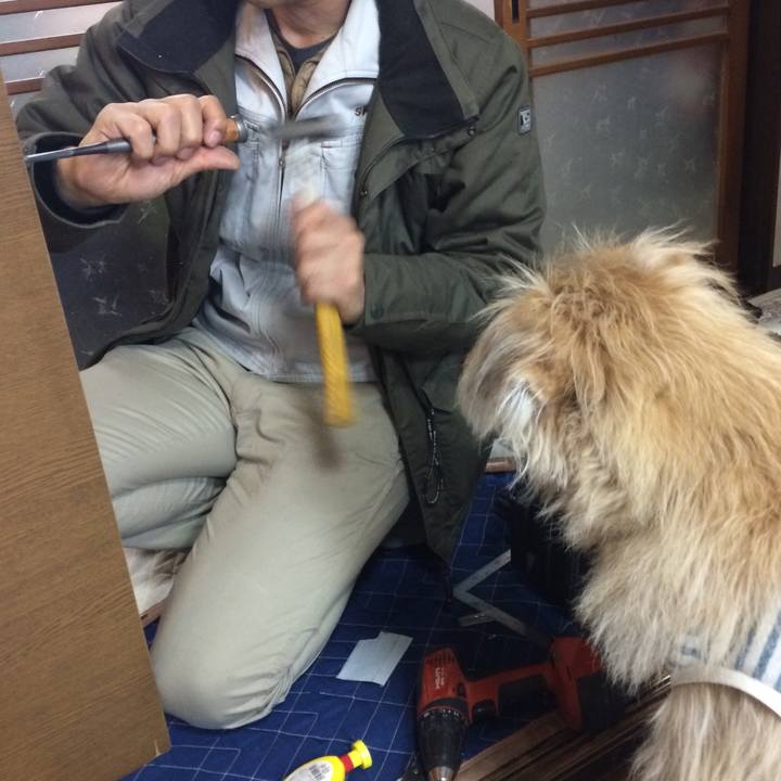 F5646124 372d 4126 808d 60bc7c1ce703