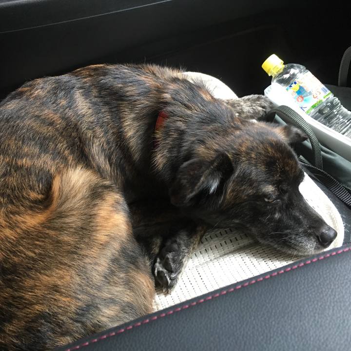 F5647b68 25f3 468b 8a76 db394411be69