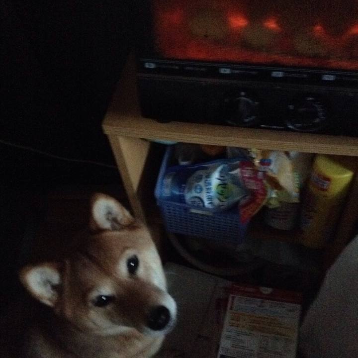 F5648789 e7fd 4dd0 8752 eb1d16adbe6d