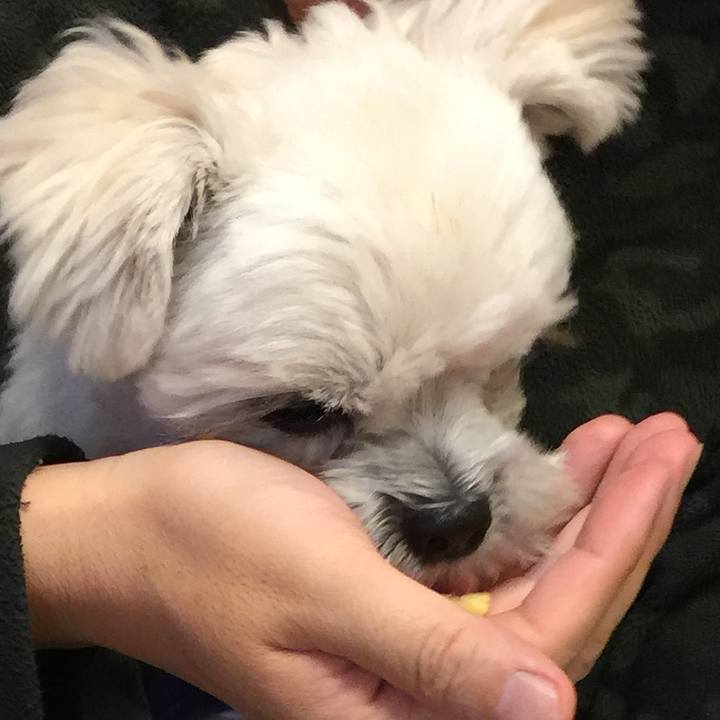 F564a661 88da 4fbd a058 ce6c98c18cba