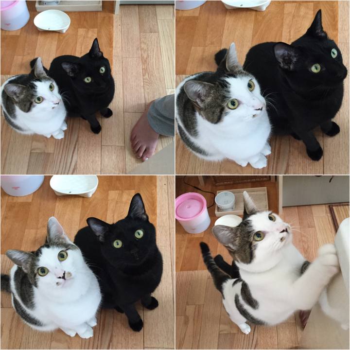 F564e5ed 3c96 4f84 8443 c2f44670837e