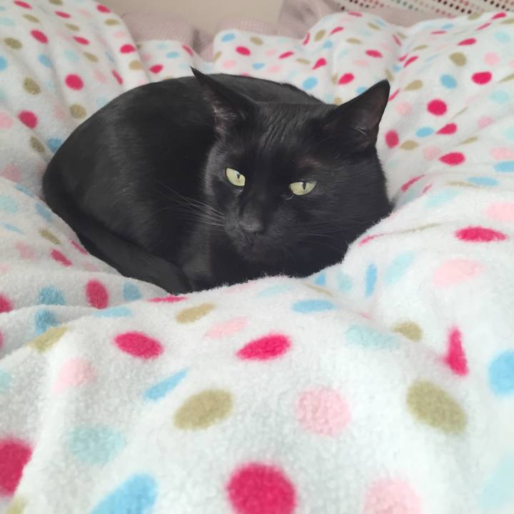 F566b71e d3f6 412b a37a e8a5ce9efccf