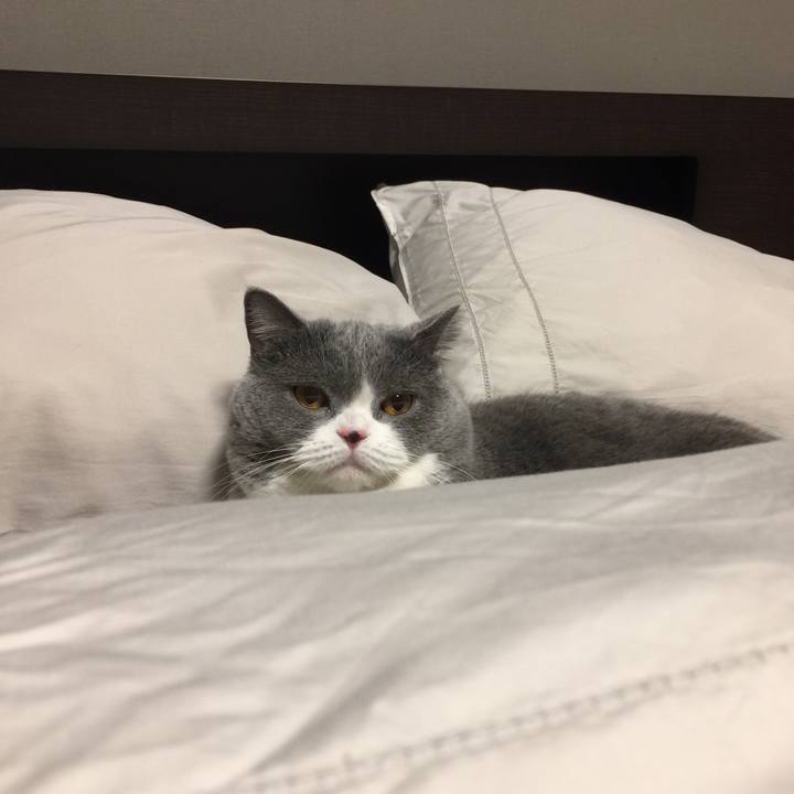 F566d7d2 d2e4 418e a0a1 dde003724fe1