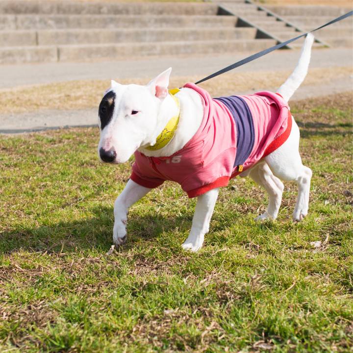 F566faab 985f 4de6 8960 9514d62446ff