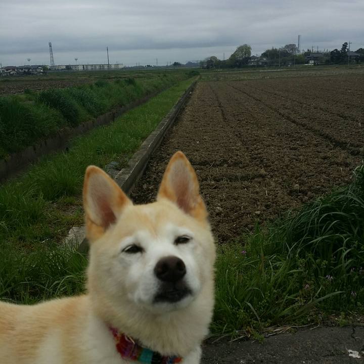 F5672d83 b39a 4b27 b1d1 aaf46c5fbdcc