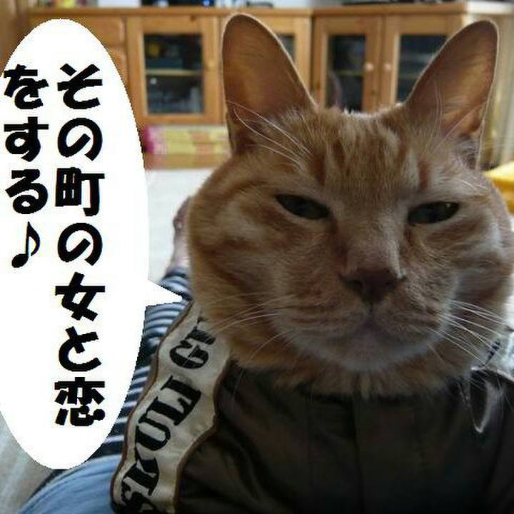 F5673eca 88c4 47d7 ba9f 4652eda209c6