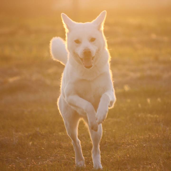 F5682b14 d36c 48b8 827f 04f8209fd44e