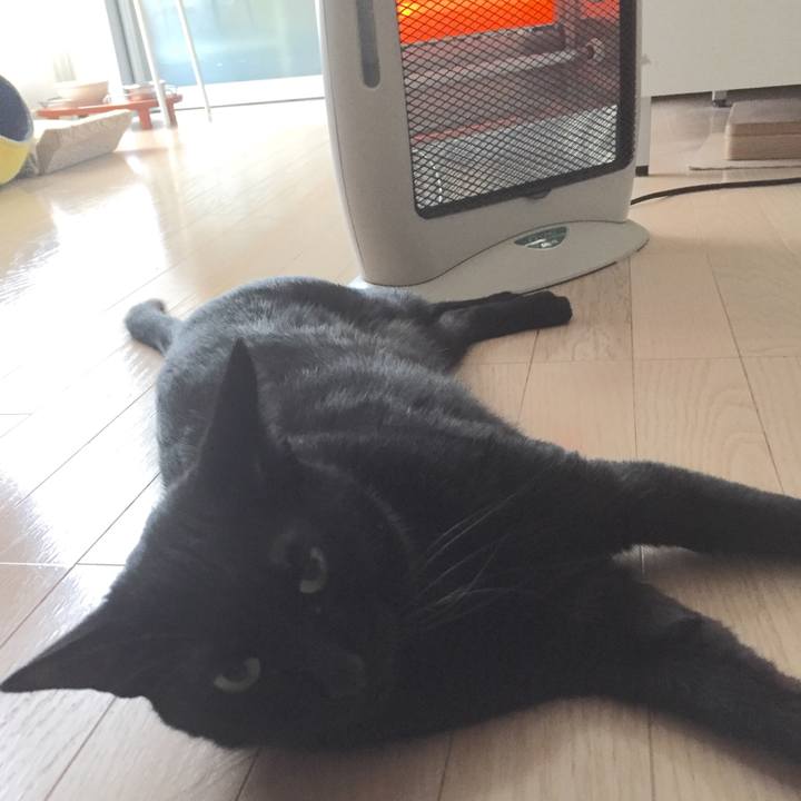 F5683213 8d5a 4819 99f2 5cff66560462