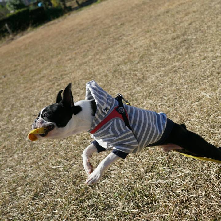 F5691fb0 e1f7 4e2a abaa 8c5596654195