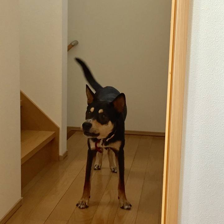 F569d4c2 ec45 46c4 a177 9479e9b3f207