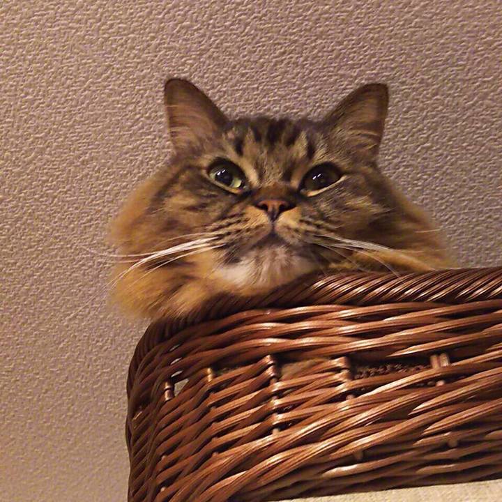 F56a0c14 5ccb 463e ba02 7ebfcf759d97