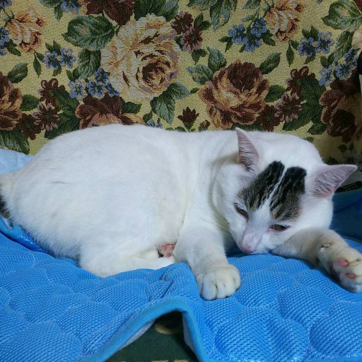 F56ac7ae 8274 4e85 8604 7e18b0399c11