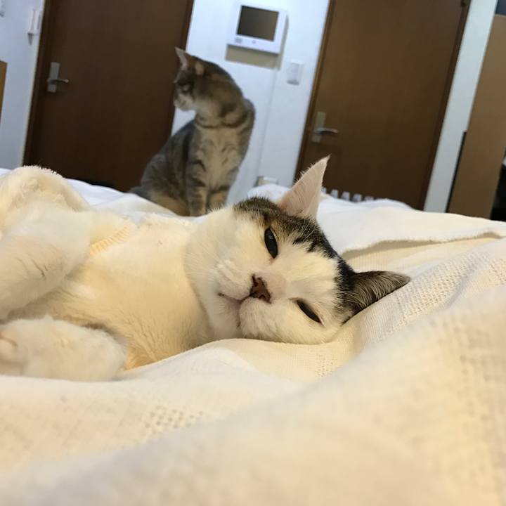 F56b01eb 98ea 4f32 b598 b61d61a97c1c