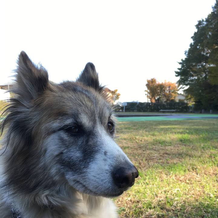 F56bea8d b2ad 4b80 8fc6 224073e6720b