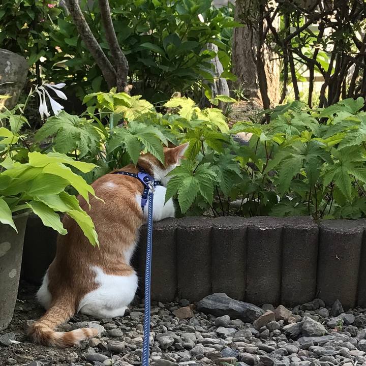 F56bf645 4b9b 494d b1ad fdbb1ea43e54