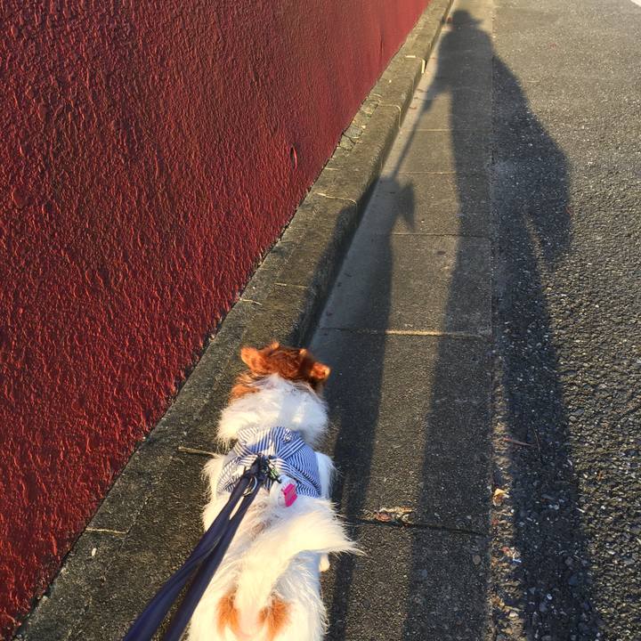 F56c2138 5312 47c0 8244 c3ec63338067