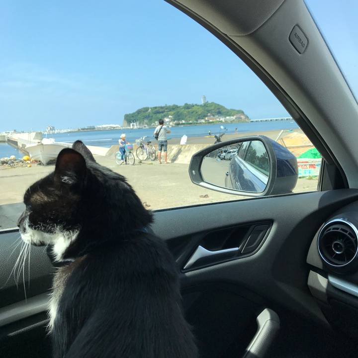 F56c838a 7437 4de7 803d 1a1c89acd667