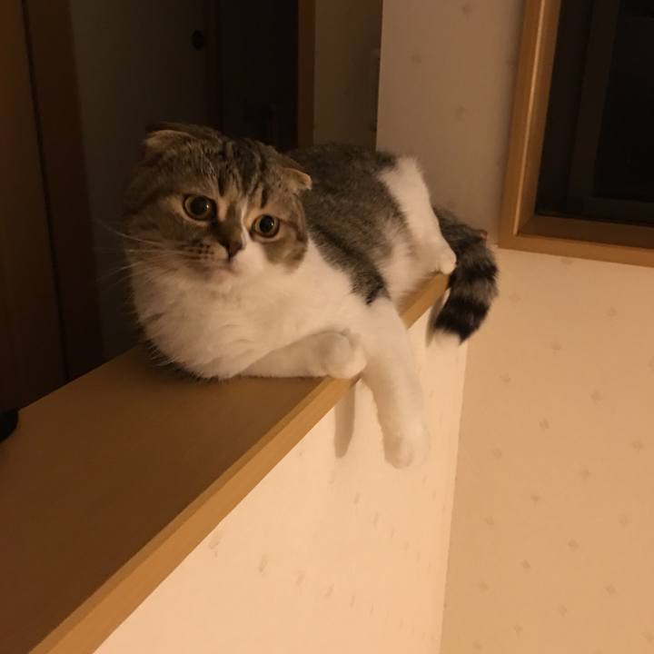 F56d8310 3e6b 43e2 95c1 861c8c796ed0