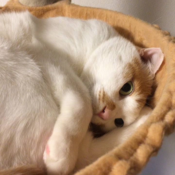 F56deab4 c160 4628 9baa d05917e215fd