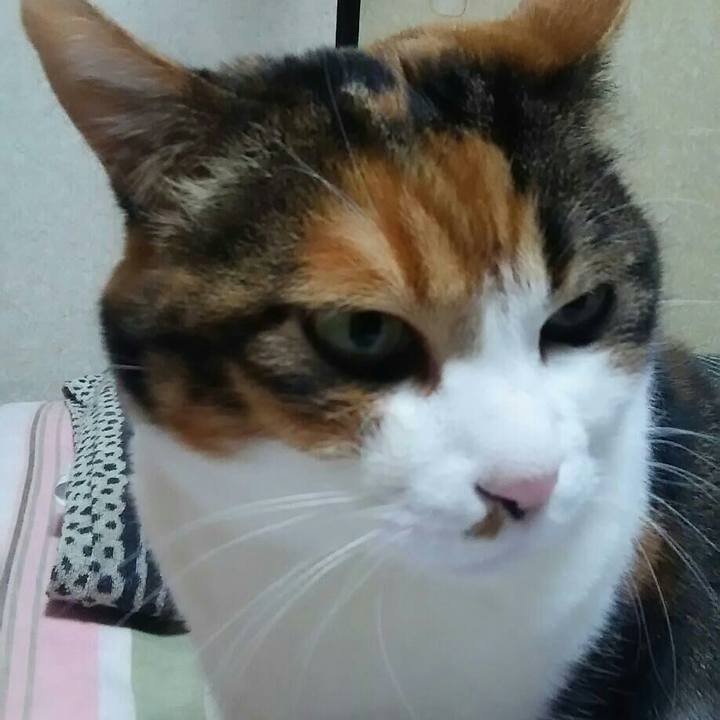 F56e04e0 8cc1 4588 86b4 ce5ddff41aed