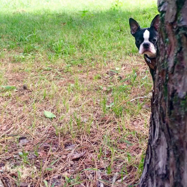 F56e858a 90d1 4f12 9824 f1e2ff5863c4