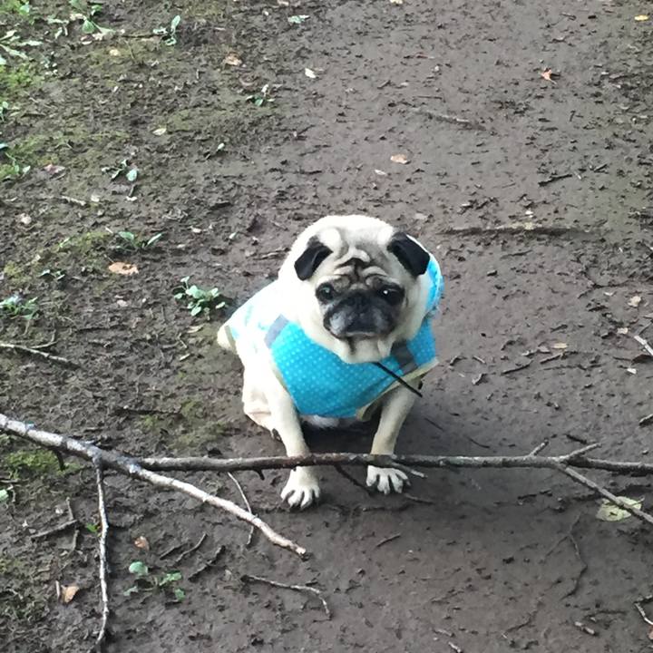 F56edaf8 692c 491f 93a3 b81d9cde1d84