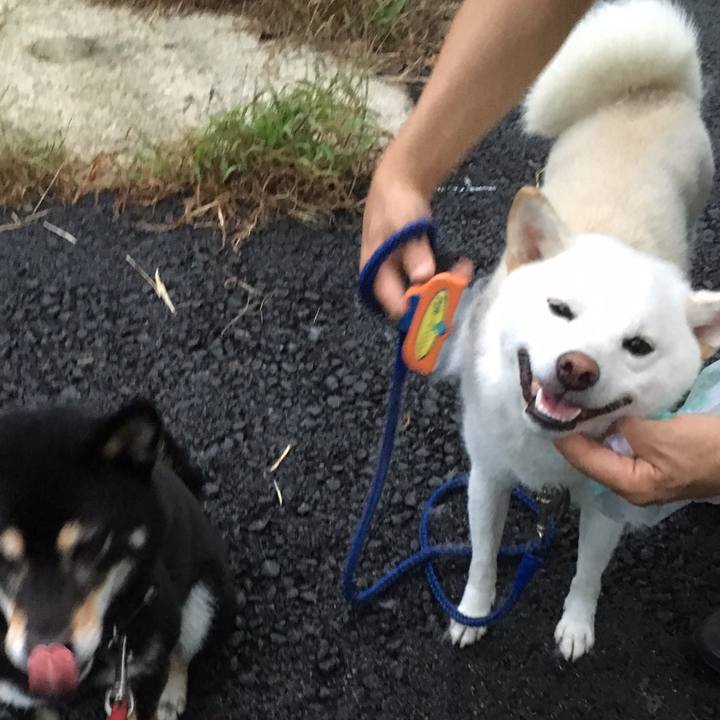 F56ef4dc 2a73 4f25 b3b5 7a726b9b852c