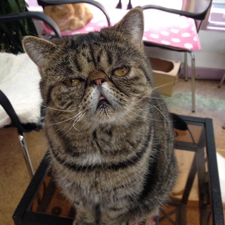 F56fcaf5 626e 4347 bf62 836eb67b659c