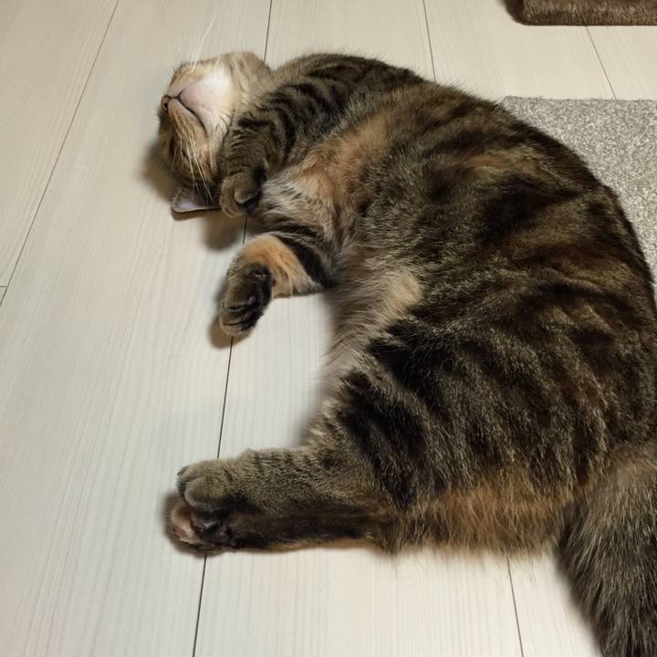 F56fe967 4192 4a1e 81d1 c6874633f410