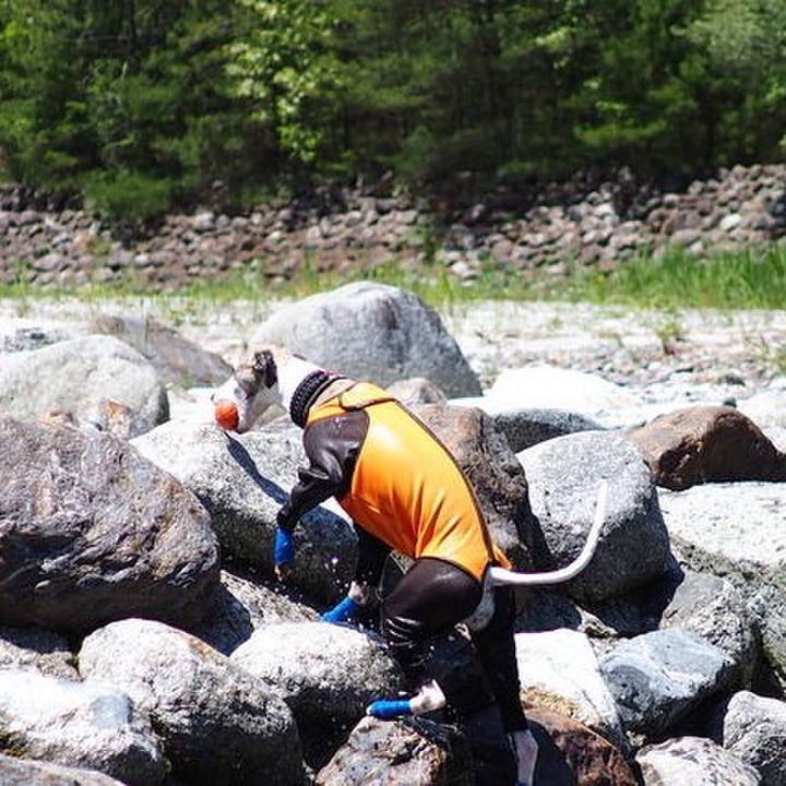 F5701005 24df 4a19 909a 113dfc1a8ff1