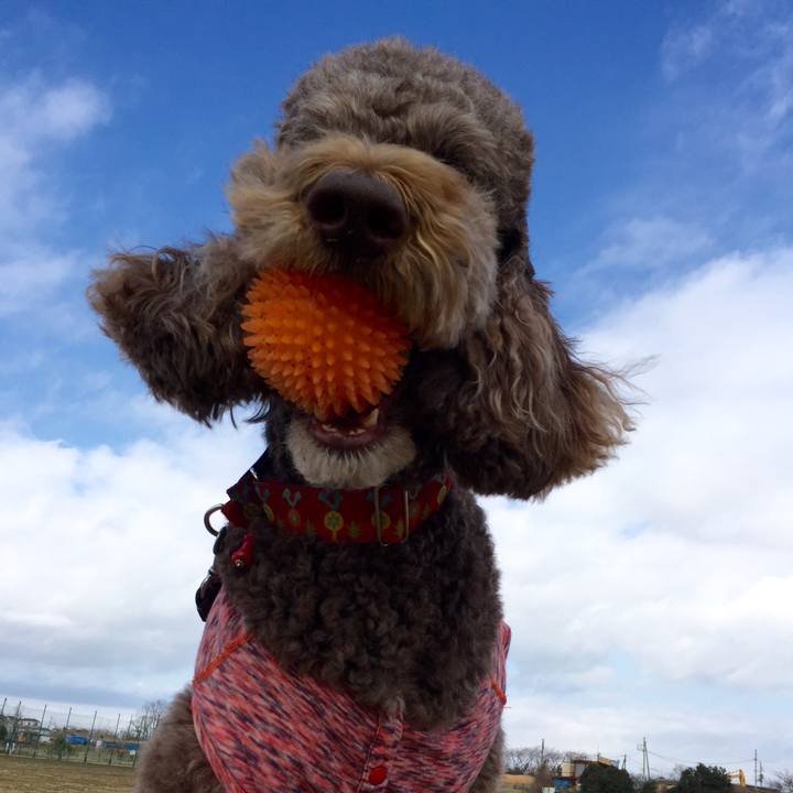 F57016ec db1f 46fb a736 5a8c1f0c5f28