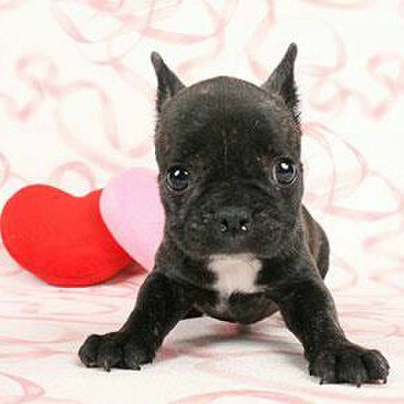 F57038c9 7d11 4529 8834 6bdcfe9e7787